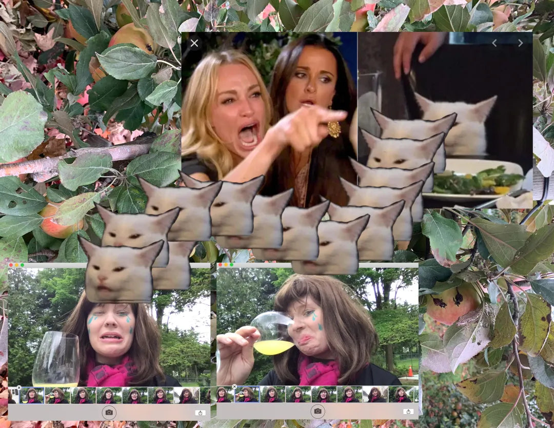 Collage of imagery including a repeated cat, a person drinking wine and crying, and a meme of popular housewives from a reality tv show.